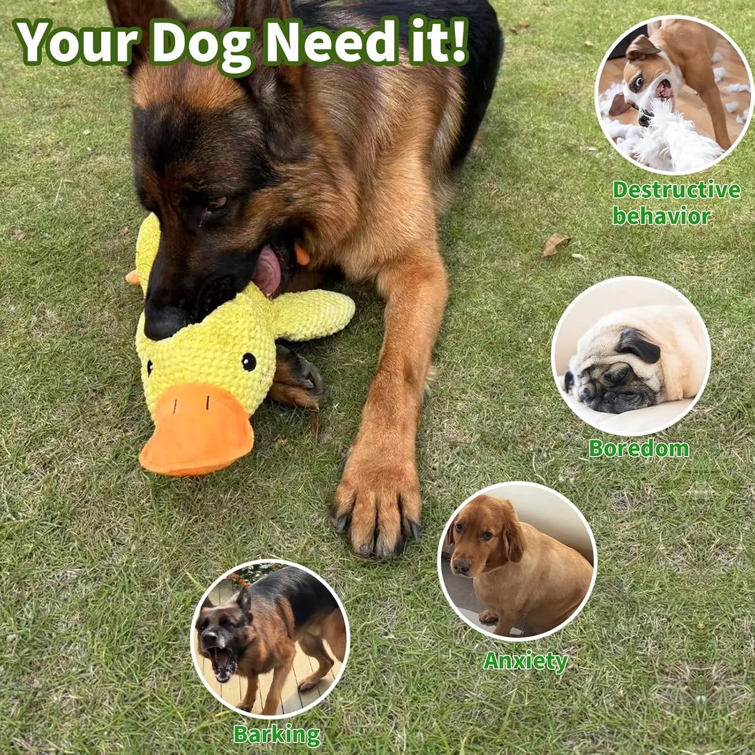 Duck Plush Toy