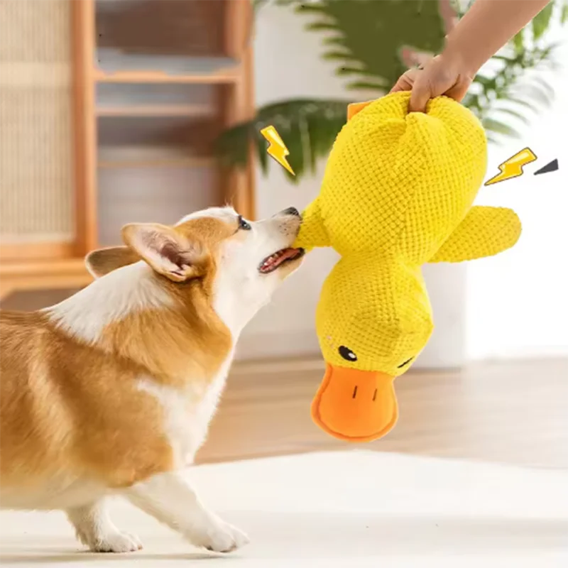 Duck Plush Toy