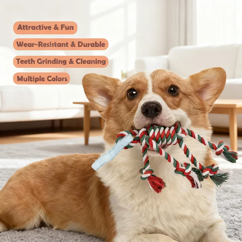 Colorful Cotton Rope Knot Toy