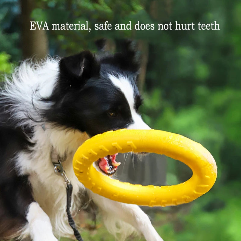 EVA Durable Dog Toys 4 Pack