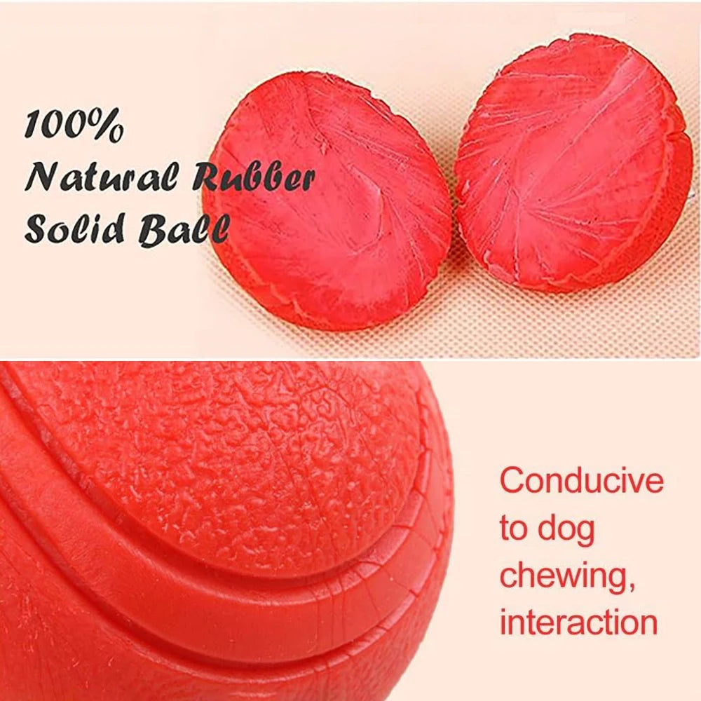 Solid Elastic Toy Ball