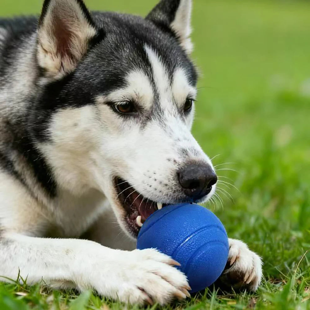 Solid Elastic Toy Ball