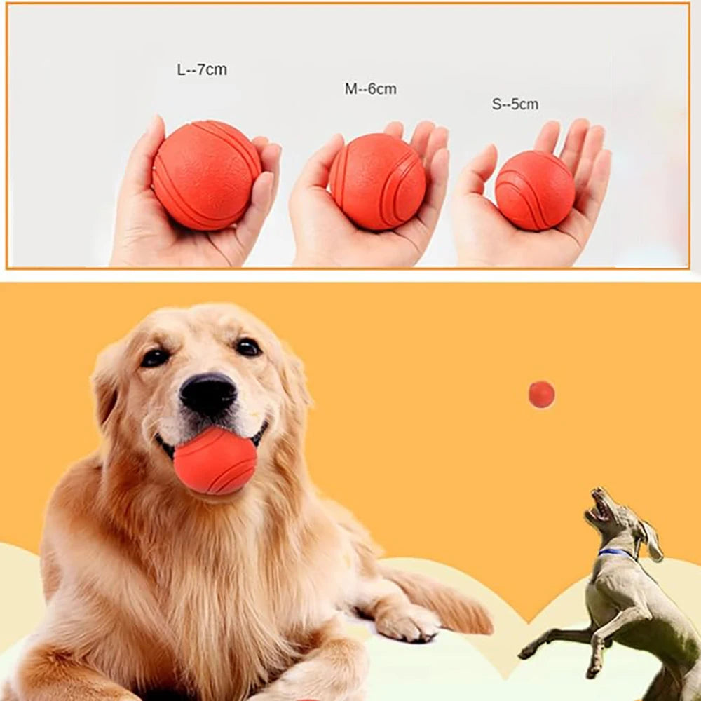 Solid Elastic Toy Ball