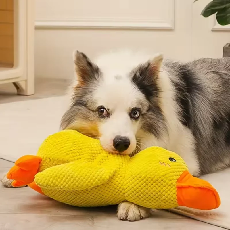Duck Plush Toy