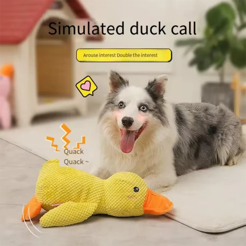 Duck Plush Toy