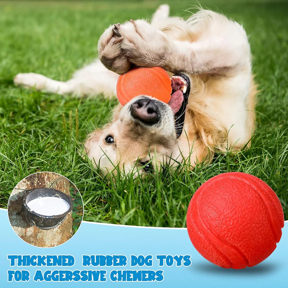 Solid Elastic Toy Ball
