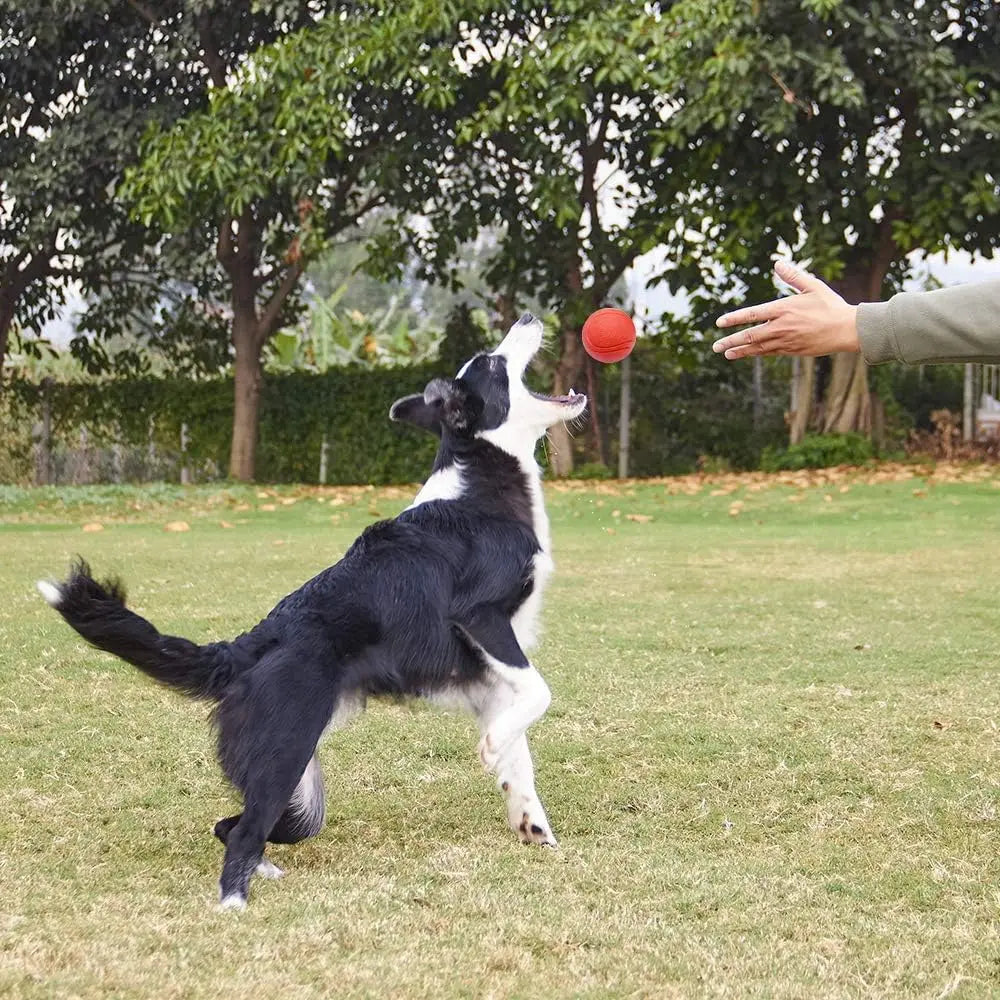 Solid Elastic Toy Ball